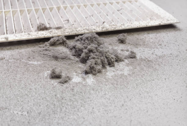 Best Air Duct Inspection  in Oak View, CA