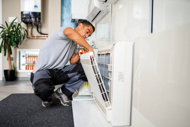 Best Affordable Duct Cleaning Services  in Oak View, CA