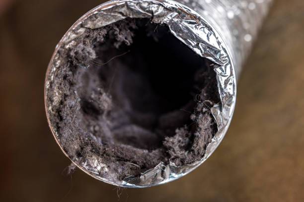 Best Commercial Air Duct Cleaning  in Oak View, CA