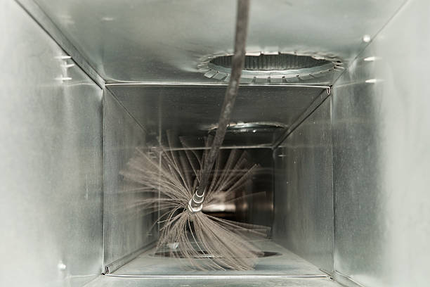 Best Duct Cleaning Specialists  in Oak View, CA