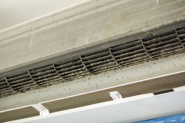 Best Professional Duct Cleaning Services  in Oak View, CA